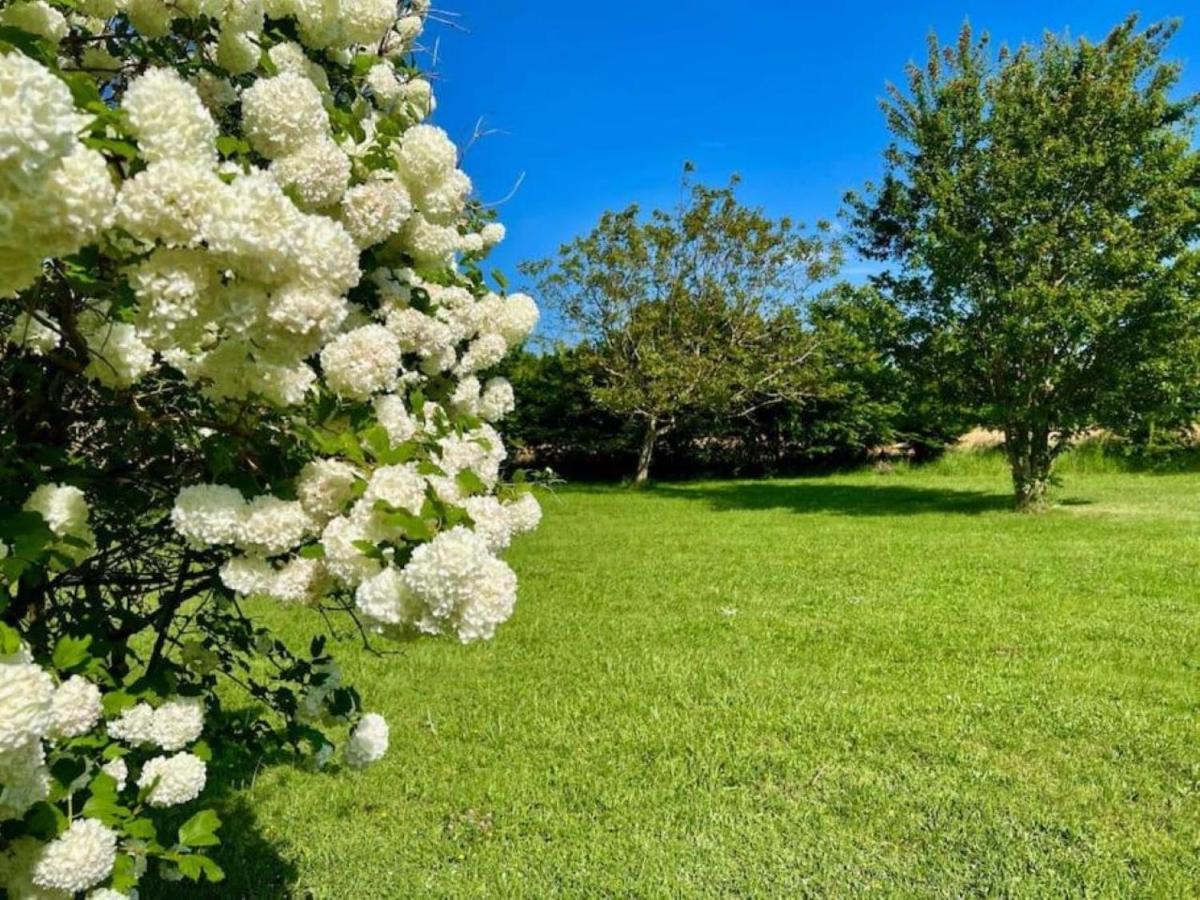 La Ferme Du Bois De Plottes Panzió Kültér fotó